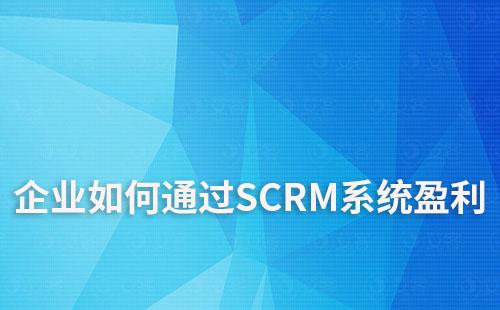 企業如何通過SCRM系統(客戶關系管理系統)盈利