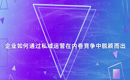 企業(yè)如何通過私域運(yùn)營在內(nèi)卷競(jìng)爭(zhēng)中脫穎而出
